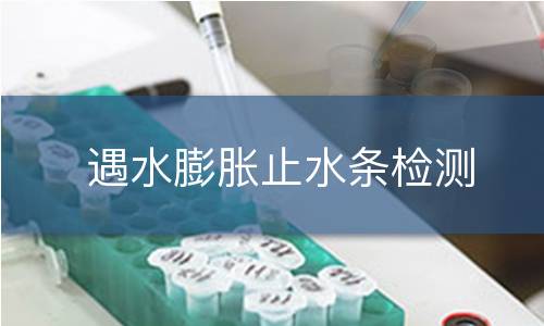 遇水膨胀止水条检测