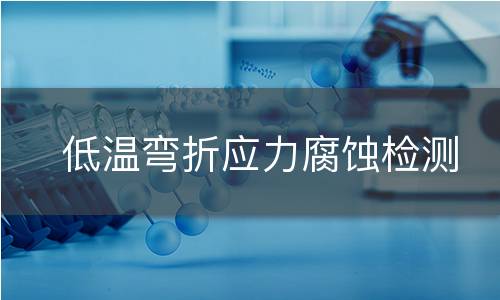 低温弯折应力腐蚀检测