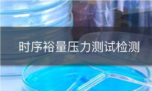 时序裕量压力测试检测