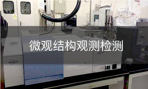 微观结构观测检测