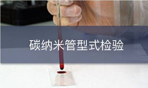 碳纳米管型式检验 碳纳米管型式检验