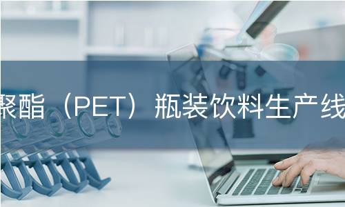 聚酯（PET）瓶装饮料生产线检测