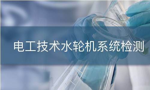 电工技术水轮机系统检测