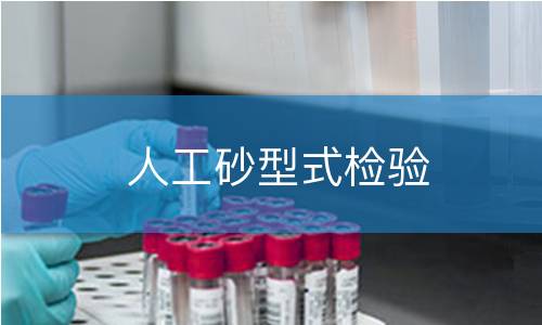人工砂型式检验 人工砂型式检验