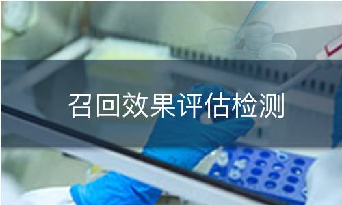 召回效果评估检测