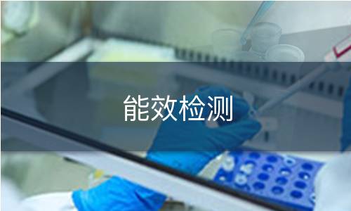 能效检测