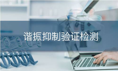 谐振抑制验证检测