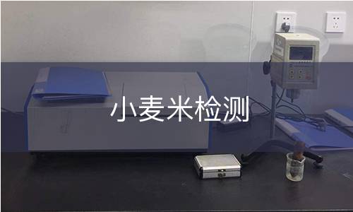 小麦米检测