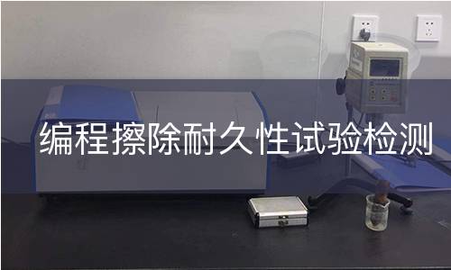 编程擦除耐久性试验检测