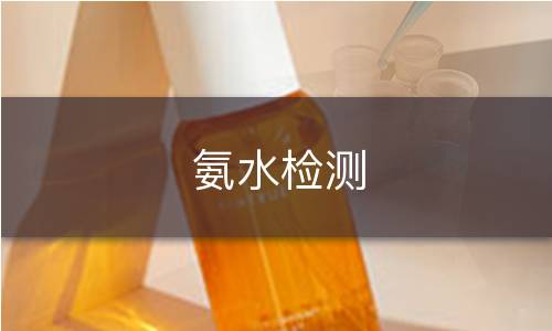 氨水检测