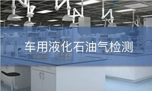 车用液化石油气检测