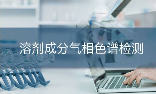 溶剂成分气相色谱检测