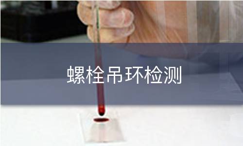 螺栓吊环检测 螺栓吊环检测
