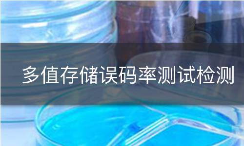 多值存储误码率测试检测