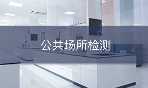 公共场所检测