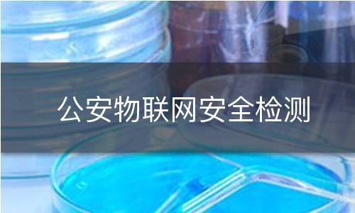 公安物联网安全检测