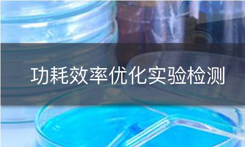 功耗效率优化实验检测