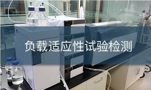 负载适应性试验检测