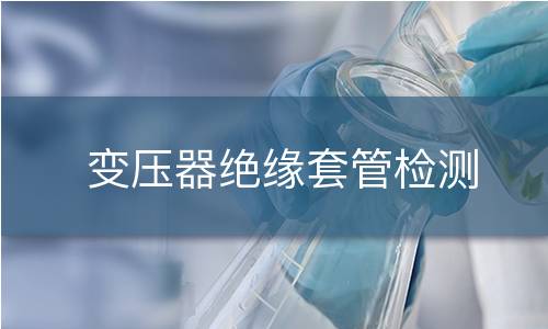 变压器绝缘套管检测