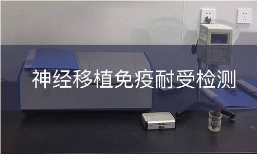 神经移植免疫耐受检测