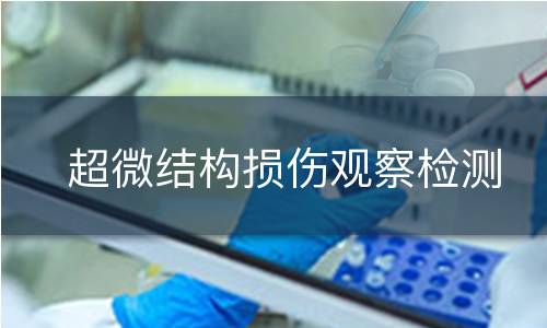 超微结构损伤观察检测
