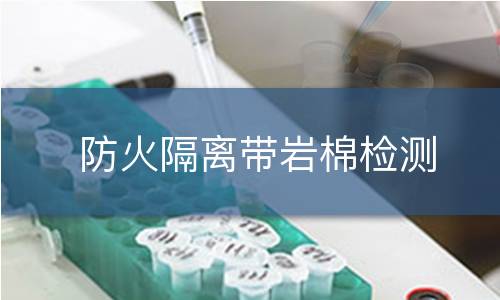 防火隔离带岩棉检测