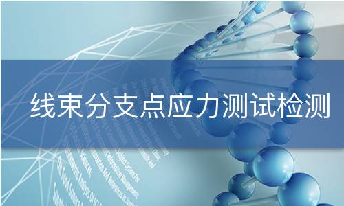 线束分支点应力测试检测