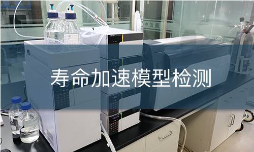寿命加速模型检测