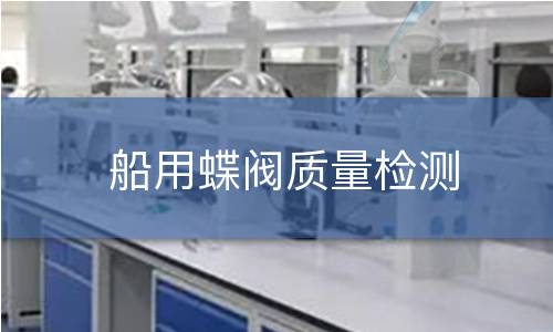 船用蝶阀质量检测