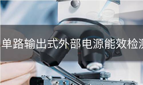 单路输出式外部电源能效检测