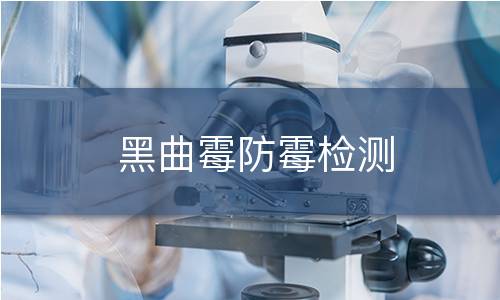黑曲霉防霉检测