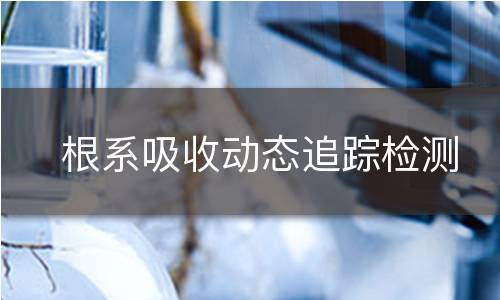 根系吸收动态追踪检测