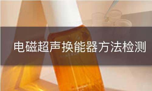 电磁超声换能器方法检测