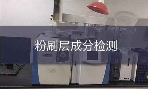 粉刷层成分检测