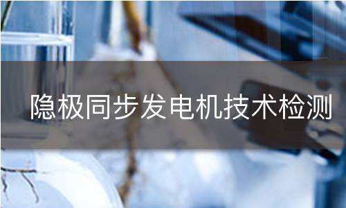 隐极同步发电机技术检测