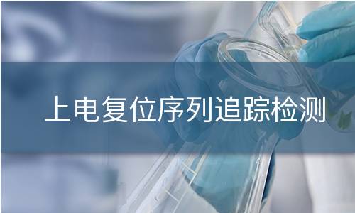 上电复位序列追踪检测