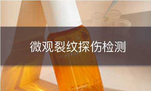 微观裂纹探伤检测