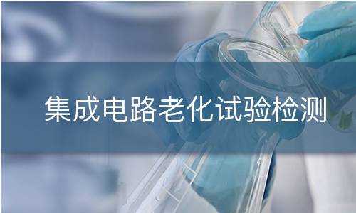集成电路老化试验检测