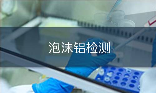 泡沫铝检测