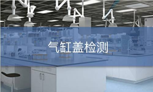 气缸盖检测 气缸盖检测