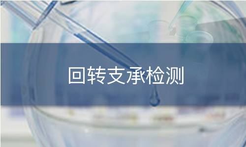 回转支承检测 回转支承检测