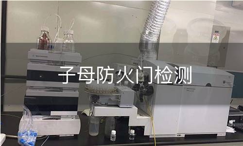 子母防火门检测 子母防火门检测
