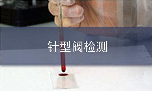 针型阀检测 针型阀检测