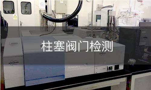 柱塞阀门检测 柱塞阀门检测