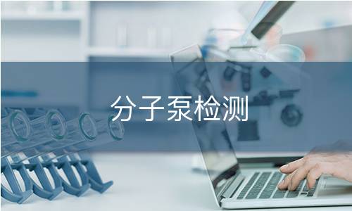 分子泵检测