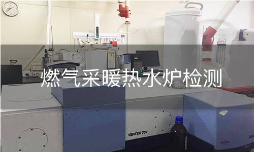 燃气采暖热水炉检测