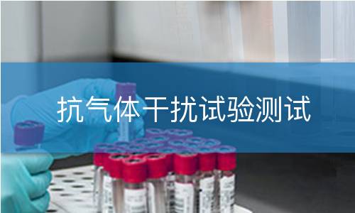 抗气体干扰试验测试