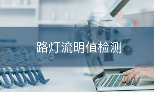 路灯流明值检测