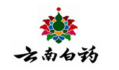 合作伙伴3